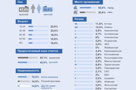 Инфографика «Восприятие домашнего насилия в Казахстане»