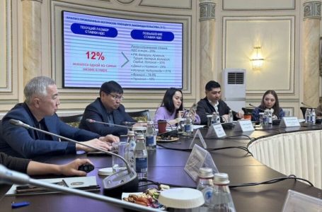 Какие ошибки совершило правительство при объявлении реформы НДС?