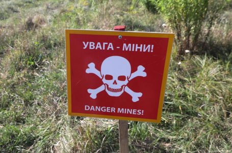 Как Япония помогает Украине очищать ее территорию от мин