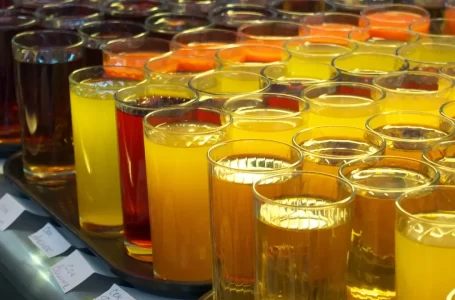 Введены новые стандарты питания в школах