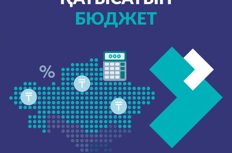 САУАЛНАМА: Қазақстанның мемлекеттік сатып алу жүйесіндегі негізгі мәселелер – жемқорлық, сенімсіздік және азаматтардың хабарсыздығы